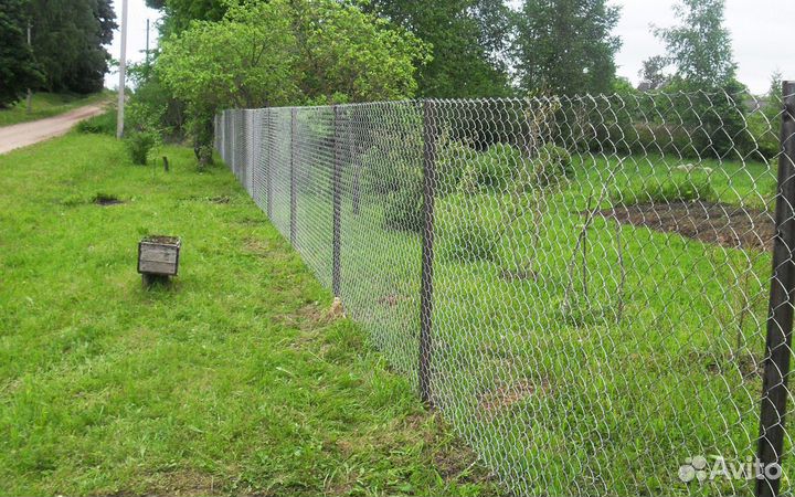 Cетка pабица