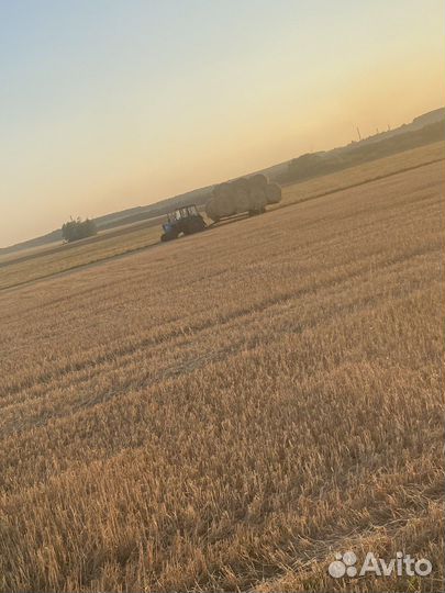 Сено солома доставка 2023