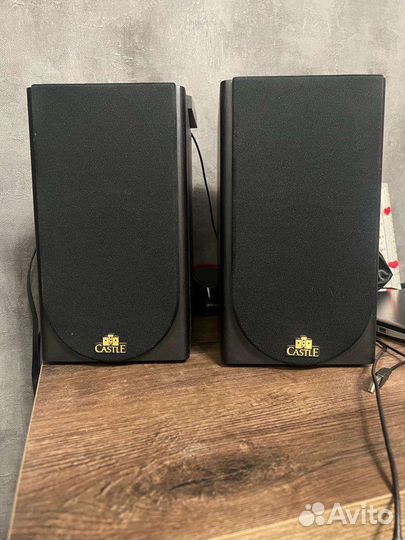 Акустическая система