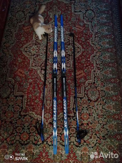 Беговые лыжи Nordway