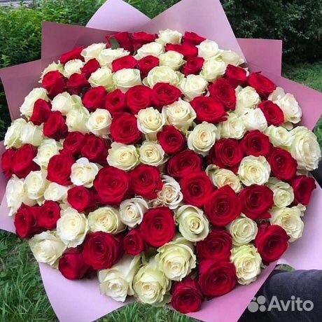 Розы. Букет 101 роза. Цветы Красноярск
