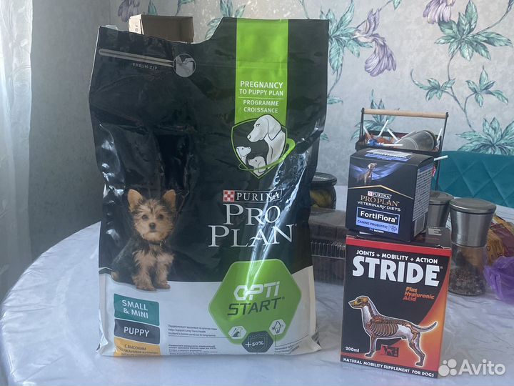 Сухой корм для собак