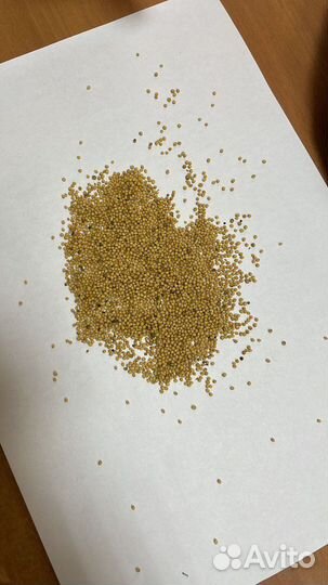 Горчица жёлтая гост