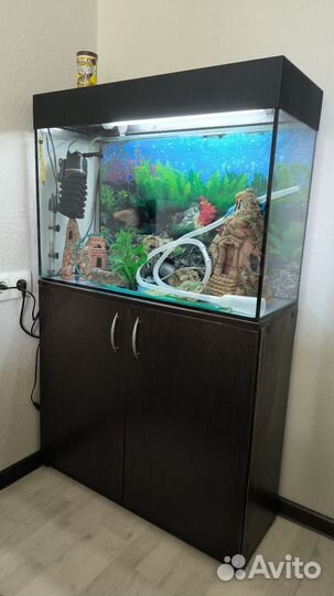 Аквариум с тумбой на 100л