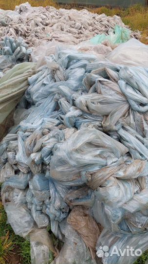 Дело которое приносит прибыль и делает мир чище