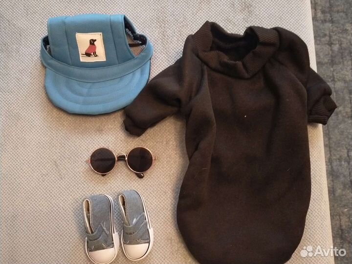 Одежда и аксессуары для собачки