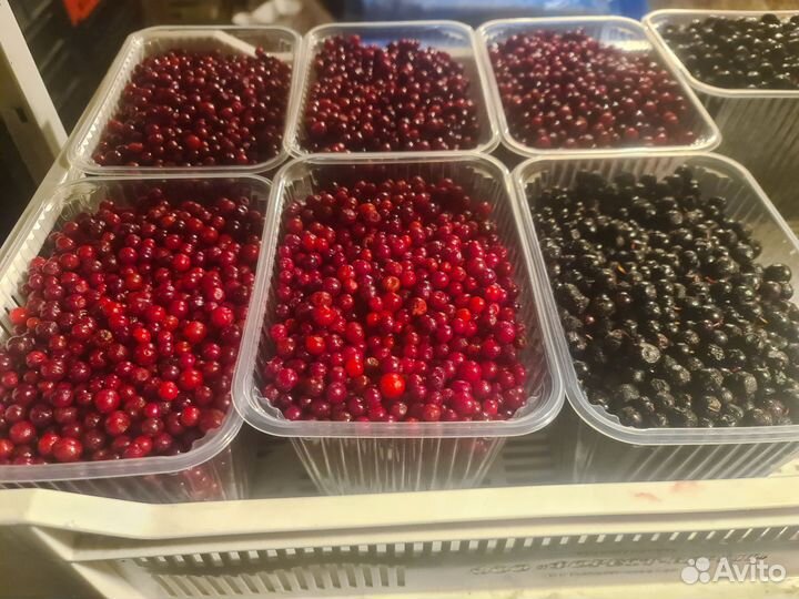 Морошка Брусника Черника Клюква Малина ягоды