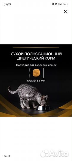 Сухой корм для кошек royal canin