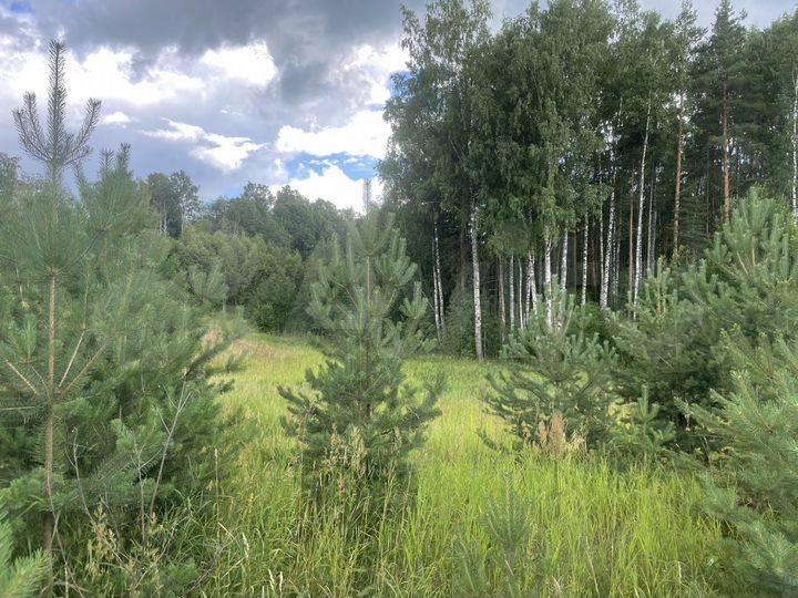 Участок 15 сот. (ИЖС)