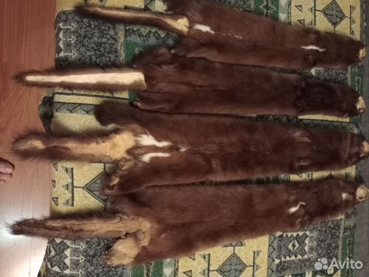 Шкурки норки