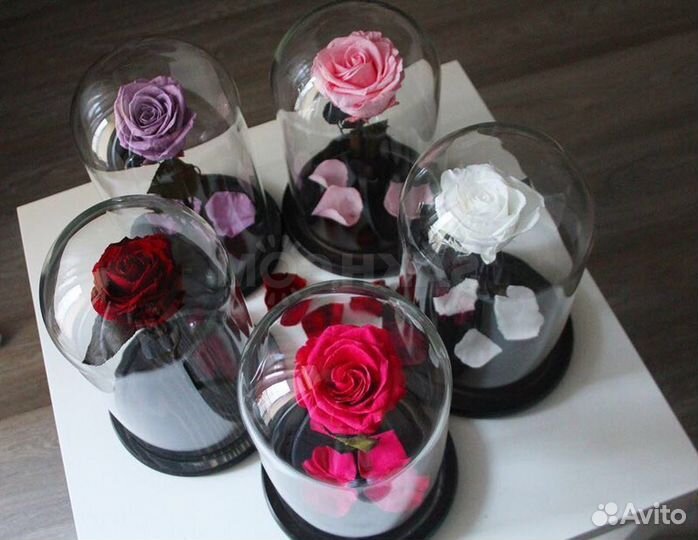 Розы в колбе. Размер на выбор