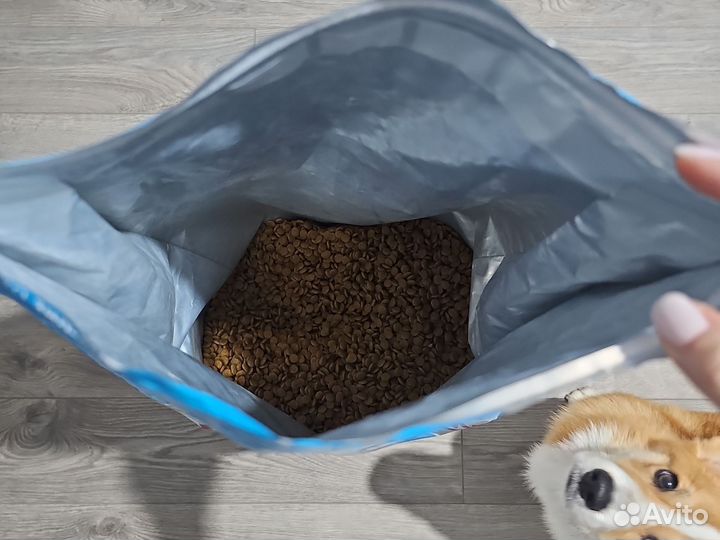 Корм для собак royal canin medium puppy