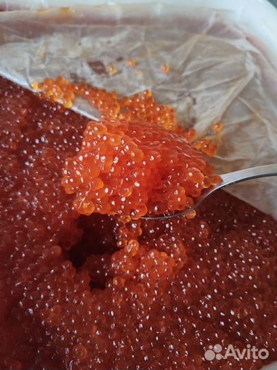 Красная икра 2023