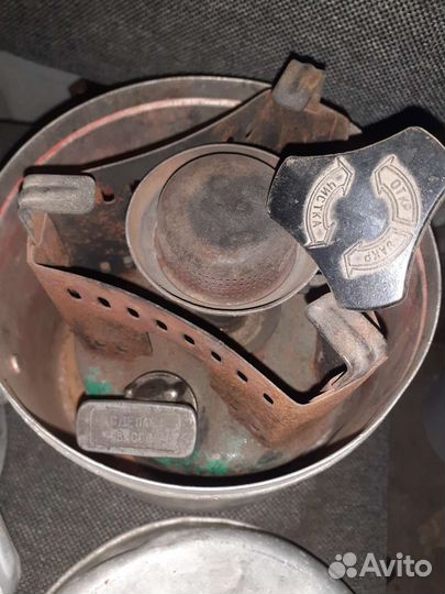 Шмель примус