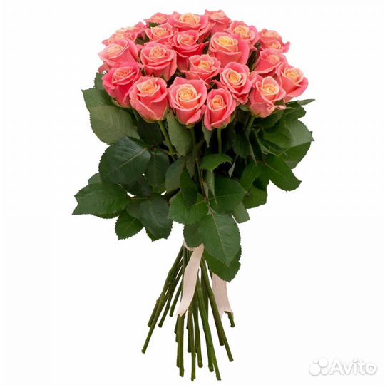 Роза срезка собственного производства 14 сортов