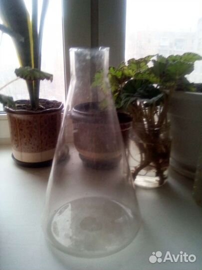 Две медицинские колбы