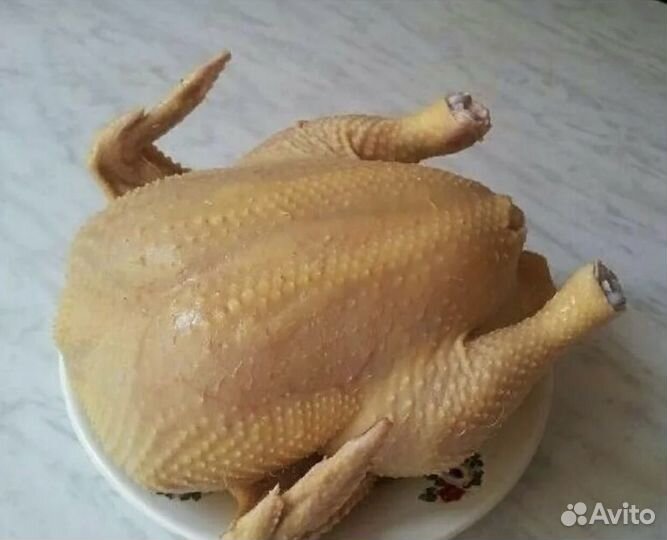 Мясо домашней курицы