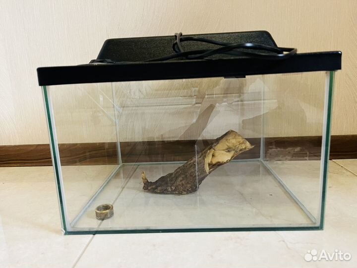 Аквариум для живности с подсветкой