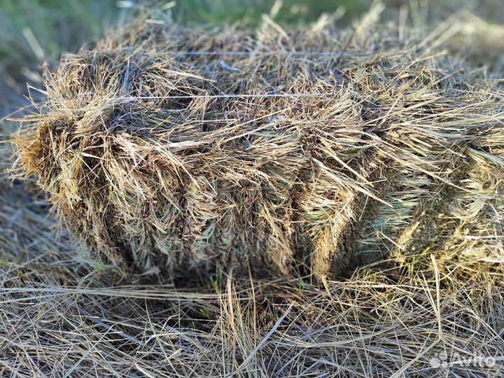 Сено в тюках