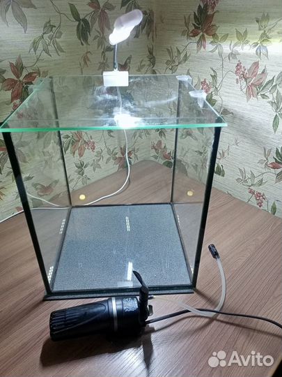 Креветочник