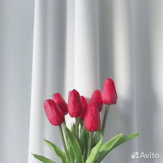 Тюльпаны к 8 марта оптом