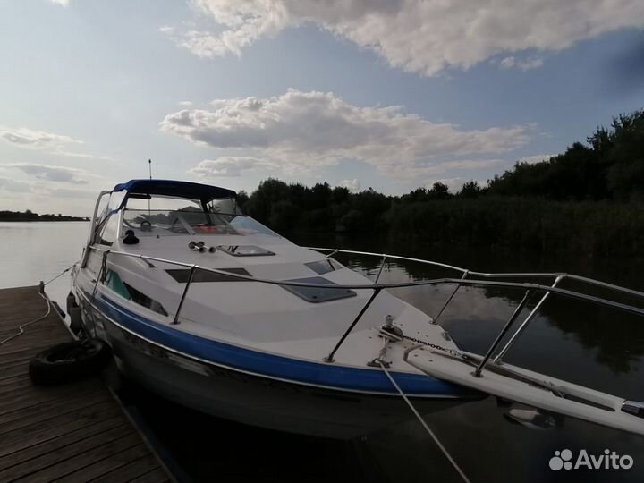 Прогулки на катере, катание на ватрушке/ вейкборде