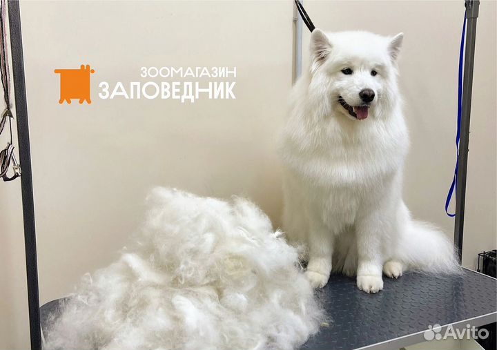 Cтpижкa собак/ Груминг по породе/ Экспресс-линька