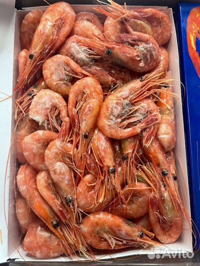 Креветка Северная Сахалинская 70/90