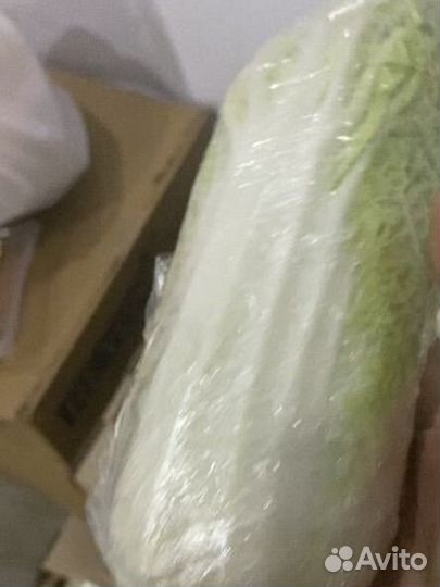 Пекинская капуста