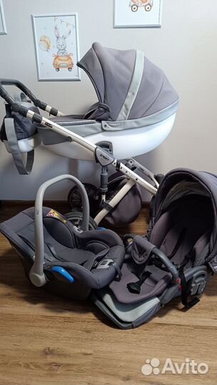 Коляска anex sport 3 в 1