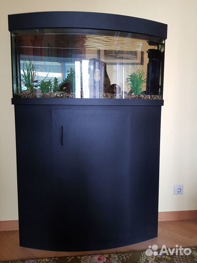 Аквариум панорамный 160 литров с тумбой