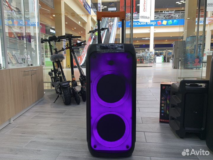 Колонка Eltronic 10