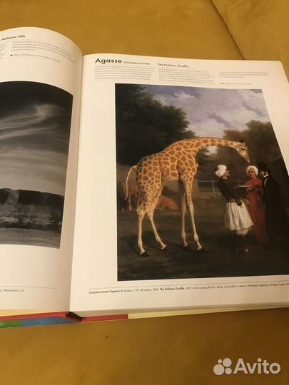 Art book Phaidon