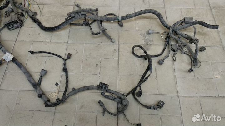 Проводка двигателя Mazda 3 (BL) 2009-2013 год