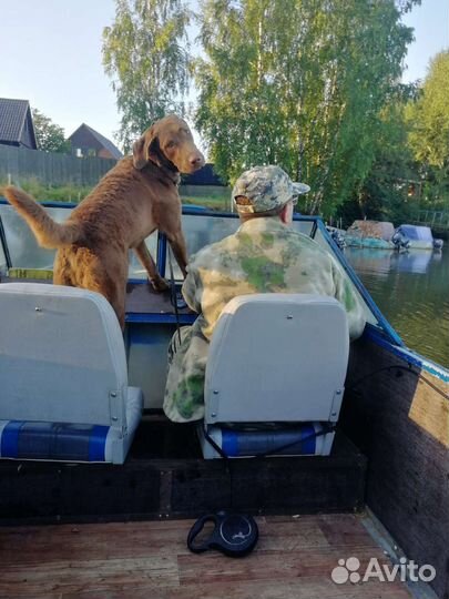 Катер Восток (Амур) + мотор Mercury F60+прицеп