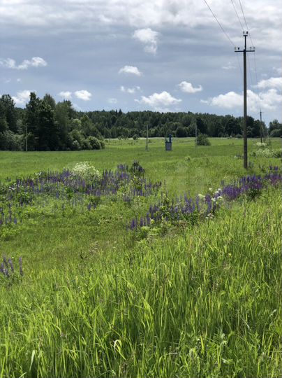 Участок 4,1 га (СНТ, ДНП)