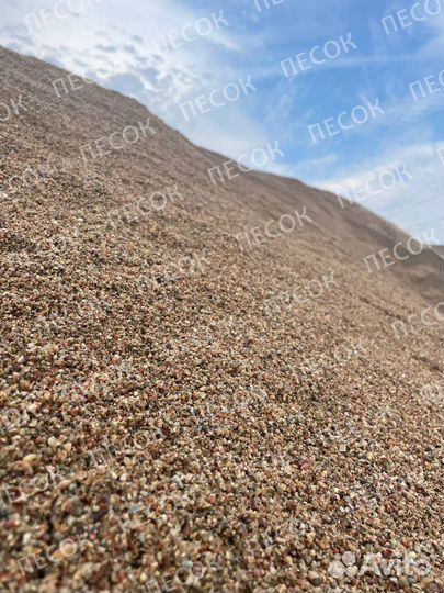 Мытый песок тараканом