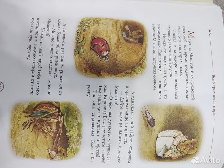 Все о кролике Питере книга