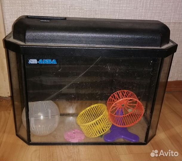 Аквариум с игрушками для хомяка