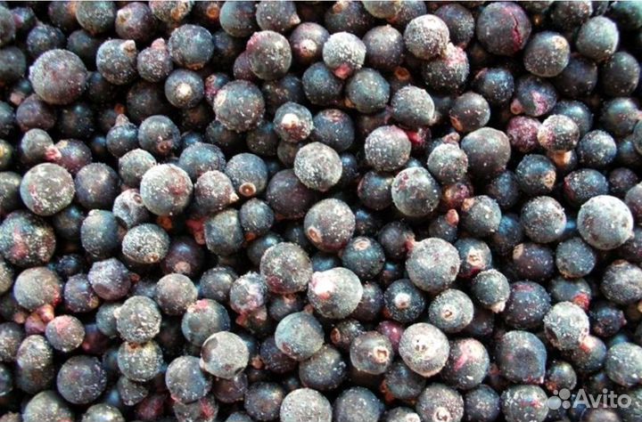Черная смородина замороженная от 10 кг