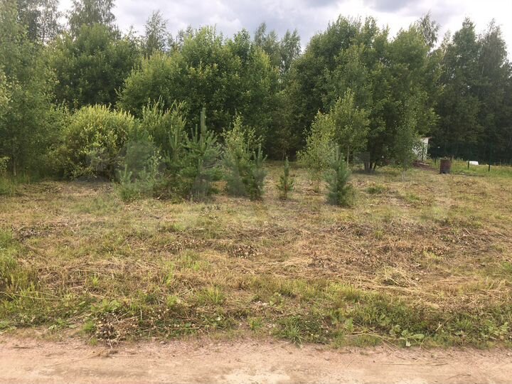 Участок 10 сот. (СНТ, ДНП)