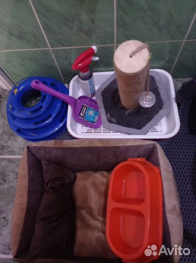 Принадлежности для кошек