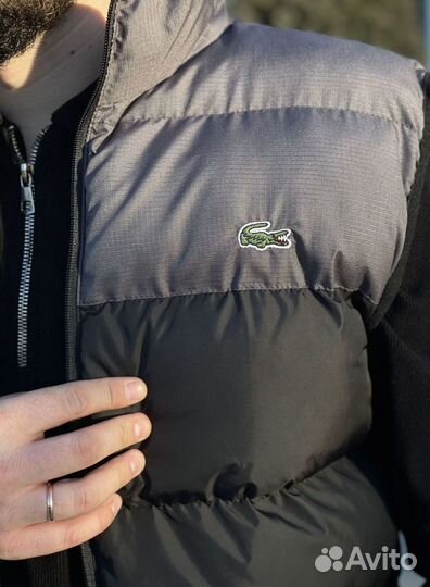 Жилетка Lacoste