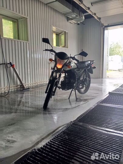 Продам альфу рх