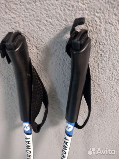 Лыжные палки