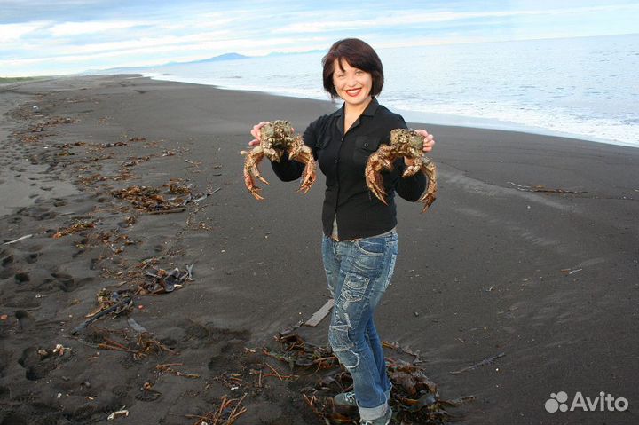 Морские прогулки на катере