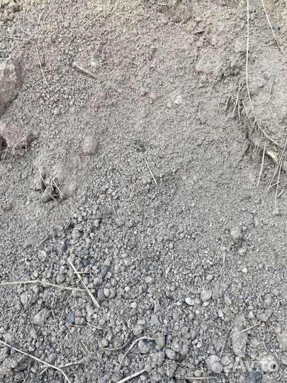 Чернозем для газона