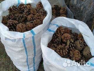 Еловые и сосновые шишки (мульча)