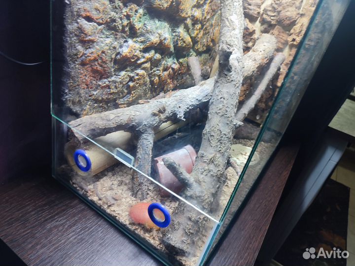 Вертикальный террариум