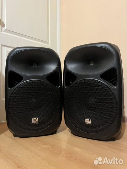 Акустическая система Leem SPA-12